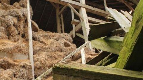 Plains Plentiful Playground - IMG_0293.jpg