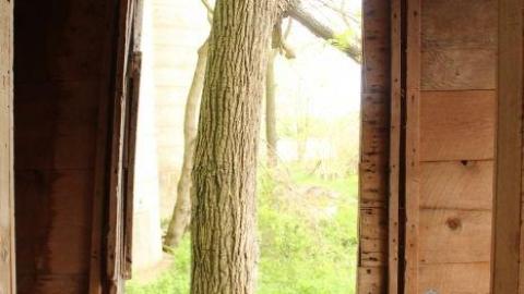 Plains Plentiful Playground - IMG_0304.jpg