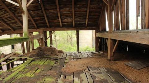 Plains Plentiful Playground - IMG_0314.jpg