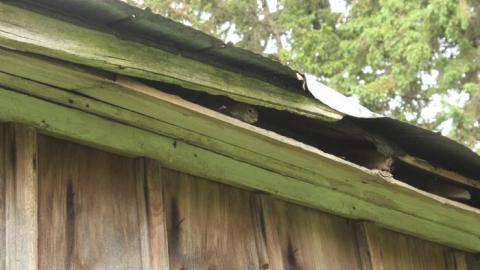 Plains Plentiful Playground - IMG_0322.jpg