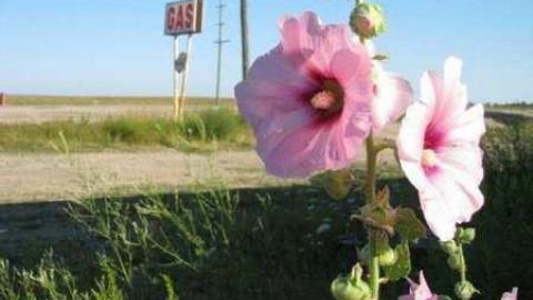 July 2011 - Gas-and-Fresh-Cut-Fries18.jpg