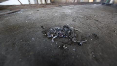 Im here too often - IMG_0686.jpg