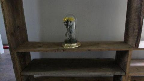 Moar Than One Abandonment... - IMG_0770.jpg