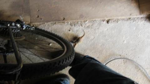 Moar Than One Abandonment... - IMG_0792.jpg