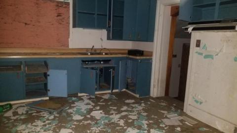 Solid old girl - 20200528_200621.jpg