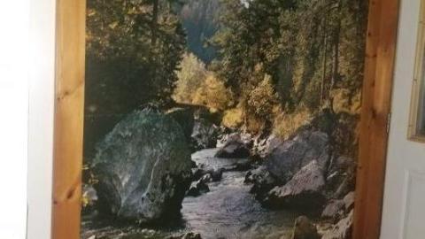 Solid old girl - 20200528_193403.jpg