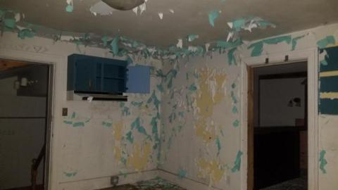 Solid old girl - 20200528_192328.jpg