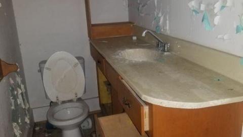 Solid old girl - 20200528_192307.jpg