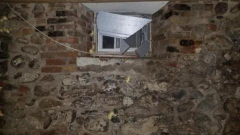 Solid old girl - 20200528_200825.jpg