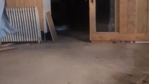 Gorgeous farm  - 20200531_135948.jpg