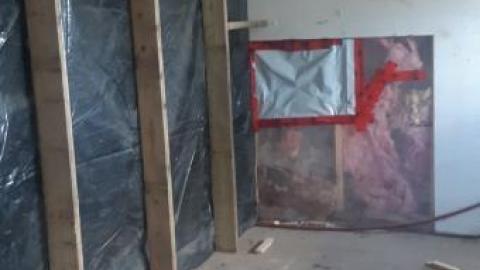 Gorgeous farm  - 20200531_140455.jpg