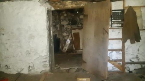 Gorgeous farm  - 20200531_141147.jpg