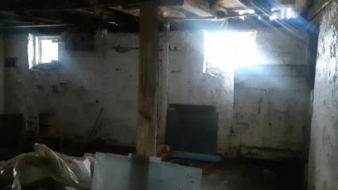 Gorgeous farm  - 20200531_141503.jpg