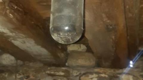 Gorgeous farm  - 20200531_141551.jpg