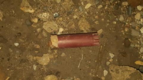 Gorgeous farm  - 20200531_142128.jpg