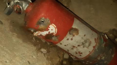 Gorgeous farm  - 20200531_142132.jpg