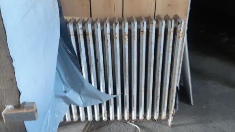 Gorgeous farm  - 20200531_144240.jpg