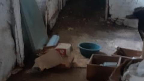 Gorgeous farm  - 20200531_144511.jpg