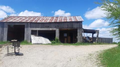 Gorgeous farm  - ht20200531_144855.jpg