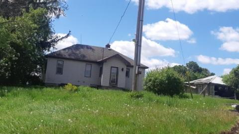 Gorgeous farm  - on20200531_144900.jpg