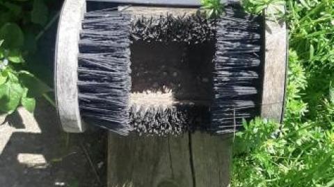 Gorgeous farm  - 20200531_144914.jpg