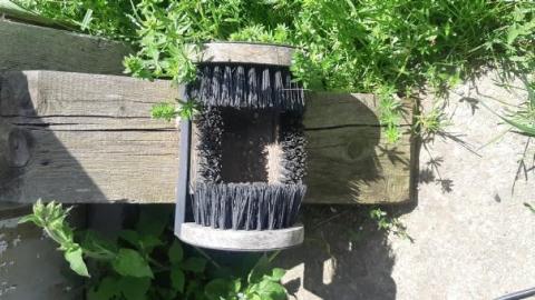 Gorgeous farm  - fx20200531_144914.jpg