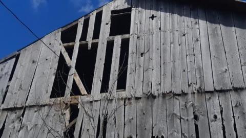 Gorgeous farm  - ck20200531_144905.jpg