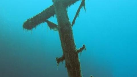 Underwater - 1234.jpg