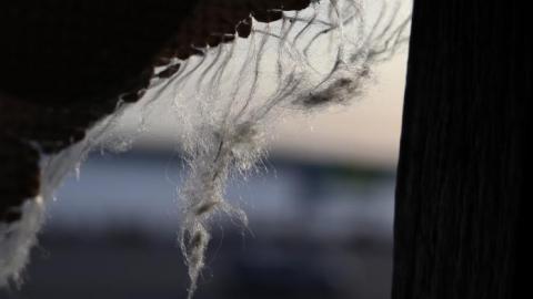 Malfara's Auto - 4.jpg