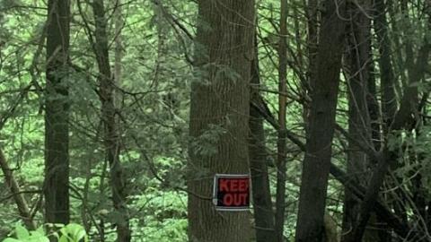 Chambers Bridge 2020 - IMG_4565.jpg