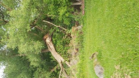 Double Double  - 20200607_192131.jpg