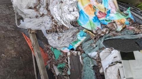 Double Double  - 20200607_191801.jpg