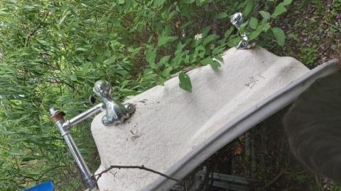 Double Double  - 20200607_191737.jpg