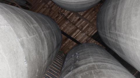 Top Room - 6122020122008IMG_7837.jpg