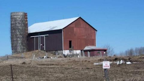 Gone before it's time - Gone-Before-Its-Time1.jpg