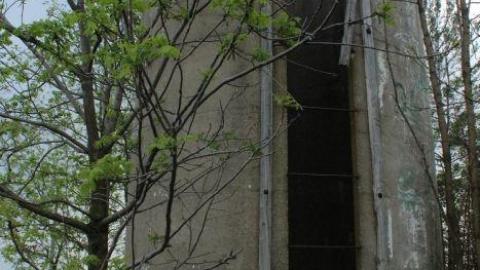 That Basement - 6132020125234IMG_0079.jpg