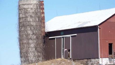 Gone before it's time - Gone-Before-Its-Time2.jpg