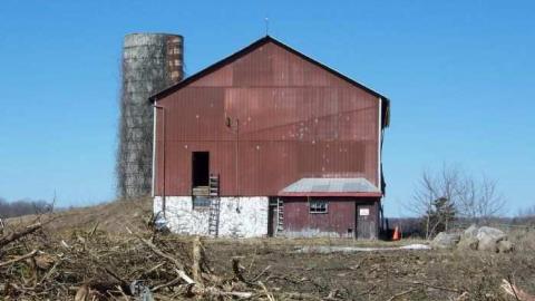 Gone before it's time - Gone-Before-Its-Time3.jpg