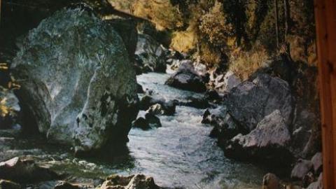 That Basement - 613202010625IMG_0166.jpg