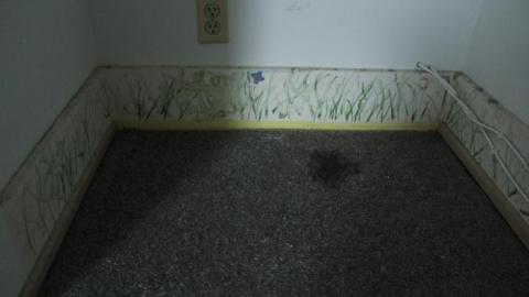 That Basement - 613202010643IMG_0174.jpg