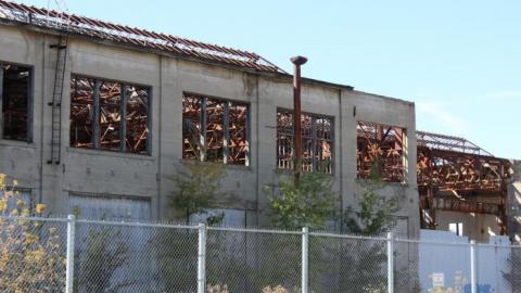 Thanksgiving '19 - IMG_8866.jpg