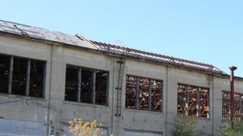 Photo from Thanksgiving '19