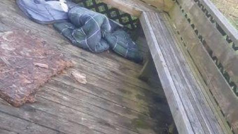 oh my 2 - 20200528_192217.jpg