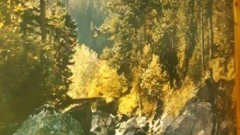 oh my 2 - 20200528_193432.jpg