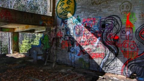 Donald (Ghost Chemical Plant) - 20200320232016_IMG_0473-01.jpeg