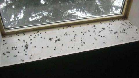 sundial - IMG_0391.jpg