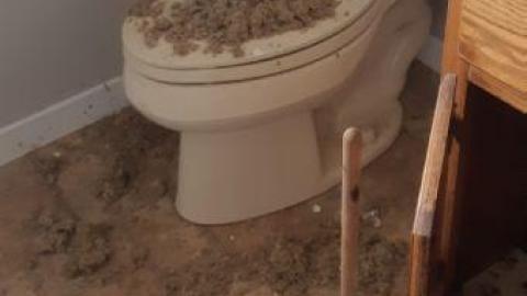 2nd times better - 20200430_180834.jpg