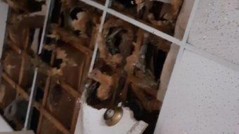 theres a hole in the floor - 20200514_174455.jpg