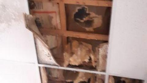 theres a hole in the floor - 20200514_174459.jpg