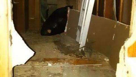 theres a hole in the floor - 20200514_174925.jpg